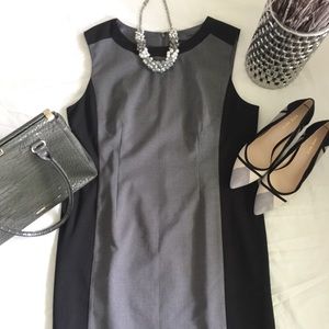 NWT Ann Taylor Gray Black Shift Dress (size 16)